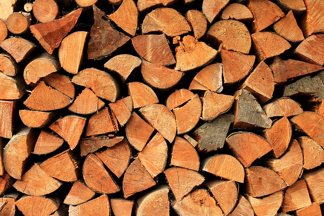 Symboldbild Holzbau (Foto: Christian Schnettelker)