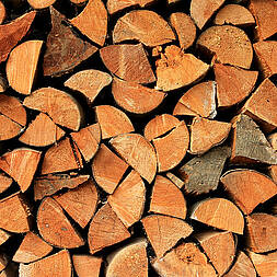 Symboldbild Holzbau (Foto: Christian Schnettelker)